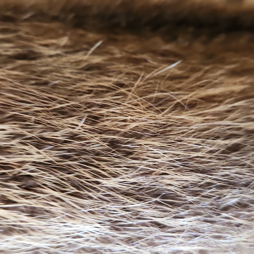 Coyote long fur coat - Picture 8 of 10
